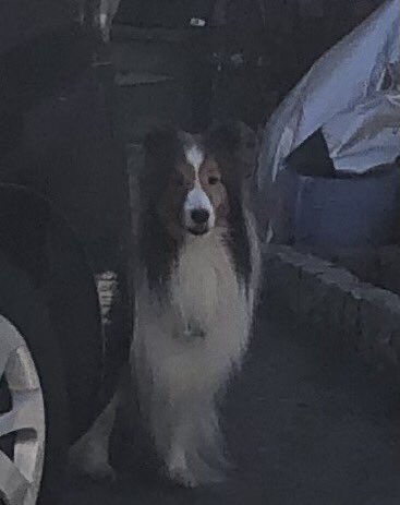 いちじく M8s2a5n Twitter