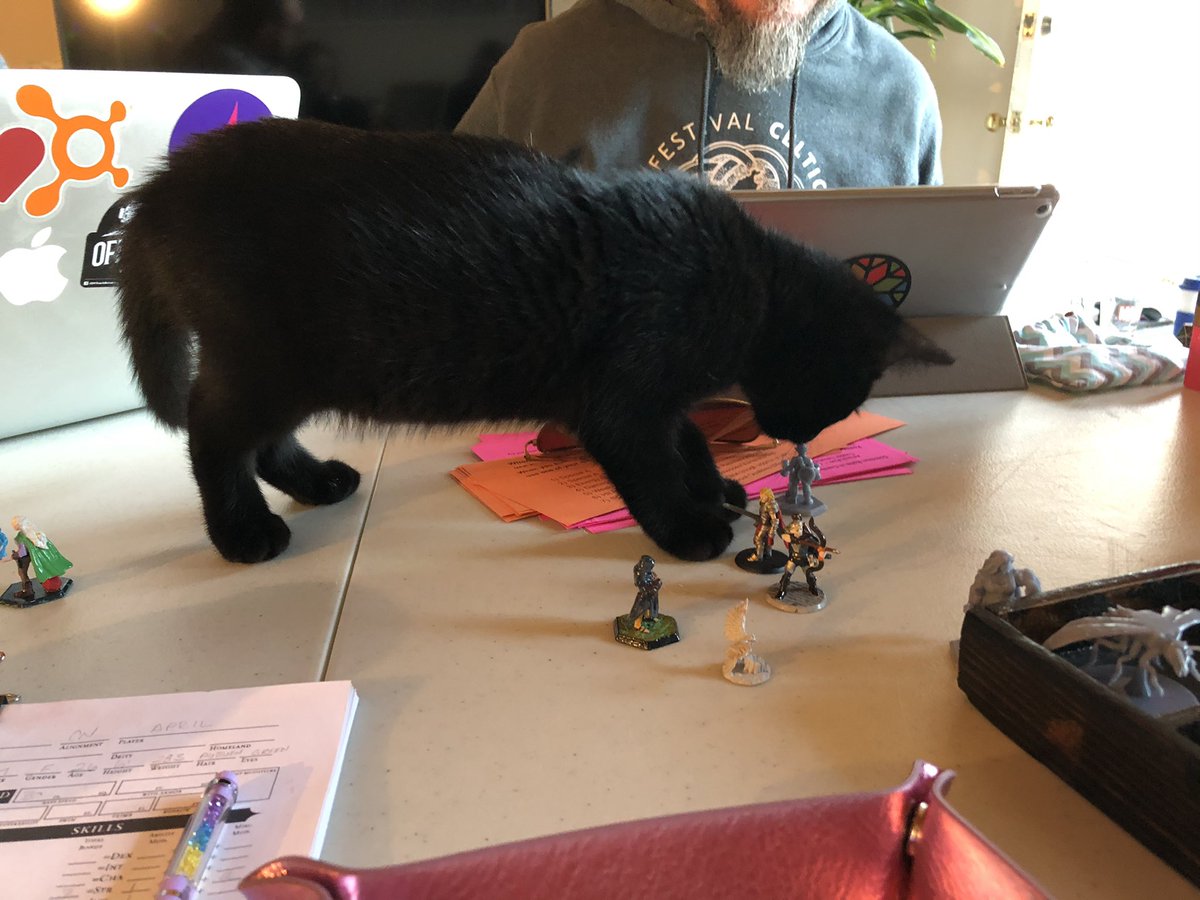 Here’s a kitty picture. This was from Saturday at my last in-person DnD session. Back on roll20 next week. Stupid Covid numbers going up! UGH.