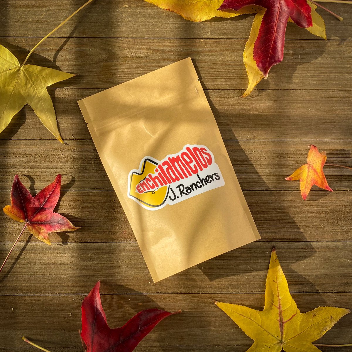 enchilamelos's tweet photo. FALL in love with the MELOS

https://t.co/oeEfgYrhBO

#enchilamelos #candy #spicycandy #mexicancandy https://t.co/nSF3pFMRz3