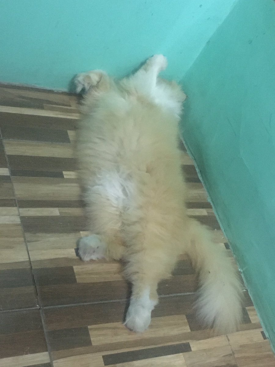lifiiaa's tweet photo. Cepet pulang, moilop😢❤️ https://t.co/s15SHZ95hj