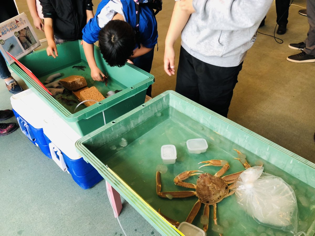 鳥取県eスポーツ協会 Tesa 300インチの巨体スクリーンで カニノケンカ始まっております 各ブロック優勝者には松葉ガニプレゼント 今夜はカニ鍋 カニの隣でザリガニも掴んでいます 松葉ガニ タラバガニ 夢みなとカップ カニノケンカ