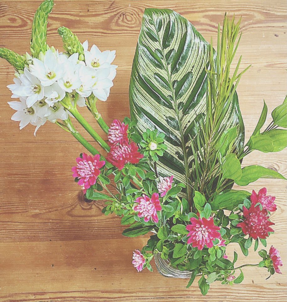 Smileessence Twitterren お花 いいな 葉っぱに 葉っぱの絵を描いたような カラテアマコヤナ 花言葉は 飛翔 オーニソガラム シルソイデス 鳥のミルク という名前 花言葉は 純粋 無垢 才能 赤色の アスター 花言葉は 変化を好む ですって Smileessence Twitterren お花 いいな 葉っぱに 葉っぱの絵を描いたような カラテアマコヤナ 花言葉は 飛翔 オーニソガラム シルソイデス 鳥のミルク という名前 花言葉は 純粋 無垢 才能 赤色の アスター 花言葉は 変化を好む ですって
