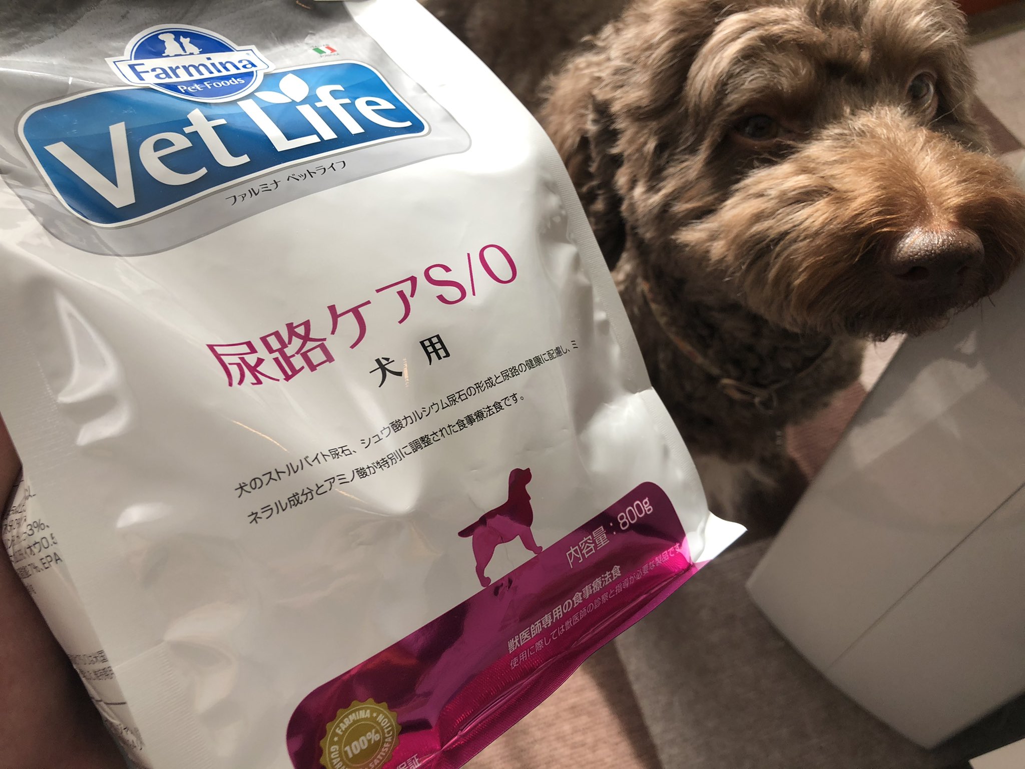 ドッグフード Farmina Vet Life ファルミナベットライフ - ペットフード
