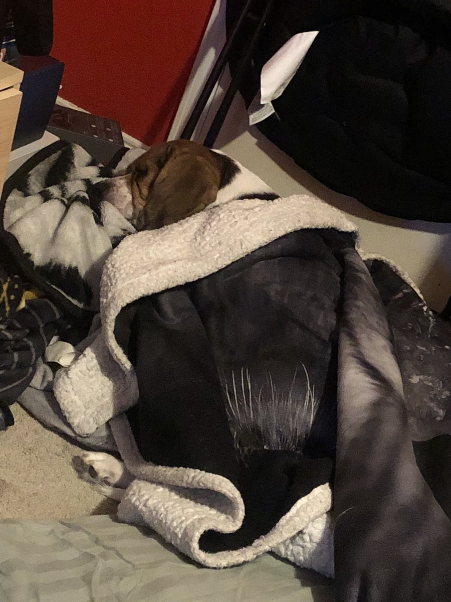 Rachel Freeze™ tweet media