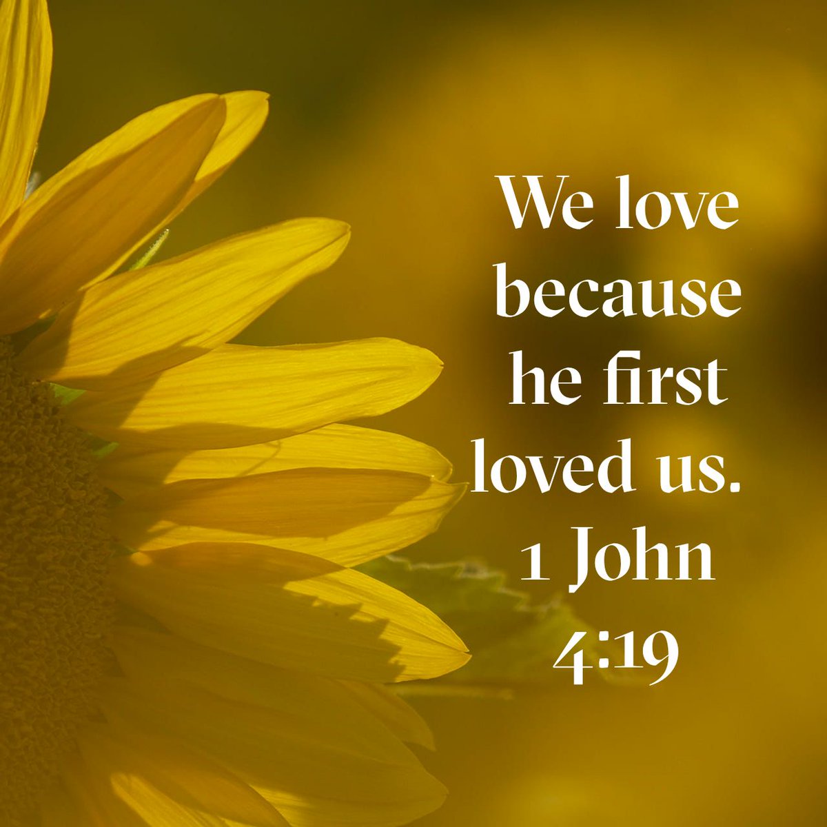 Freshdoses's tweet image. We love because he first loved us. #Love #TheWord #TheWordOnline #Bible #BibleVerses
1 John 4:19 NIV
1john.bible/1-john-4-19