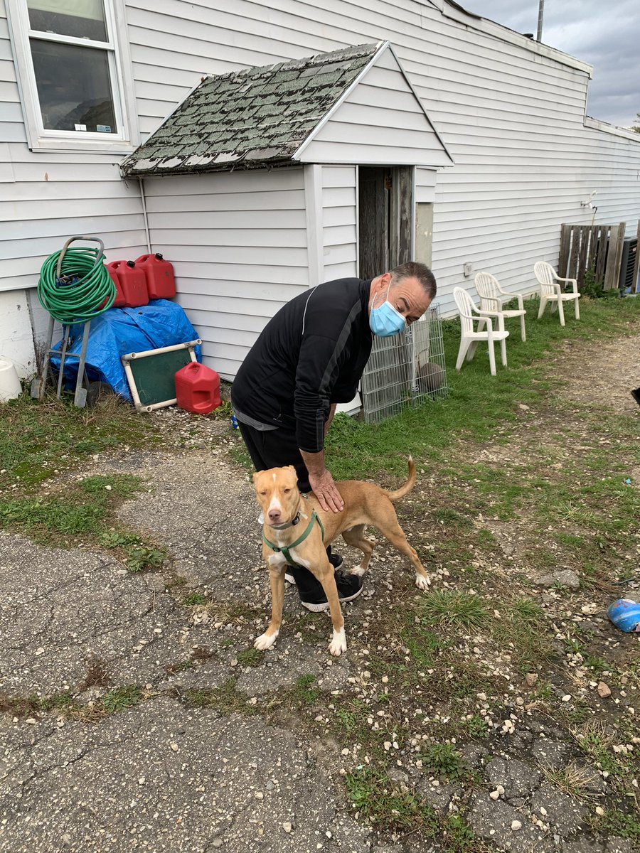 Will end this thread now, but here’s a pic of Nigel w my pop. As soon as we got him into the yard, he walked over to pop and demanded lovies.He’s clearly an amazing companion (both pop & dog).You should bring him home.  #AdoptNigel  #AdoptNigel  #AdoptNigel  #AdoptNigel