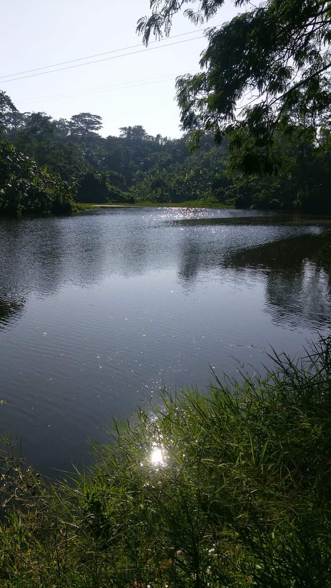 setu_khanam's tweet photo. #Natural picture https://t.co/glxvYcaO5R