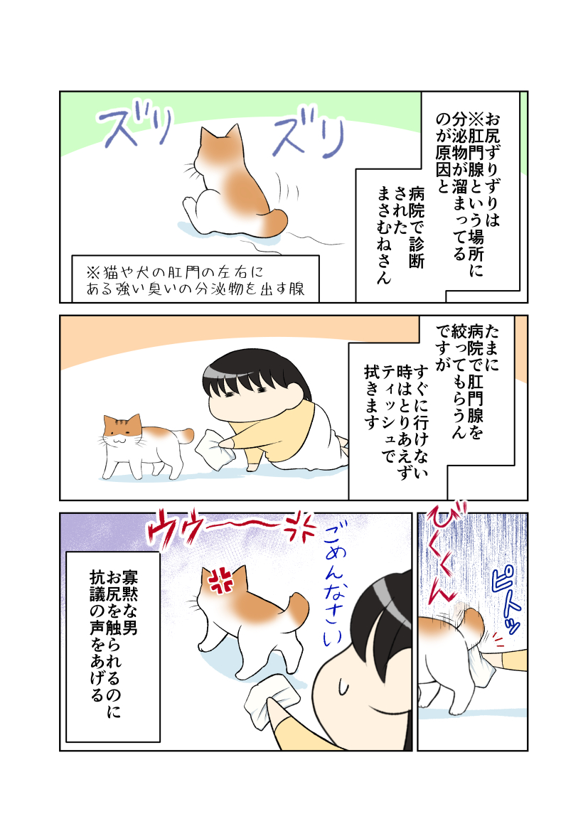 Minatsu 猫エッセイコミック販売中 お尻歩きするぬっこ 猫 漫画 ぷぅすけさんが鳴くことにゃ Minatsu 猫エッセイコミック販売中 お尻歩きするぬっこ 猫 漫画 ぷぅすけさんが鳴くことにゃ