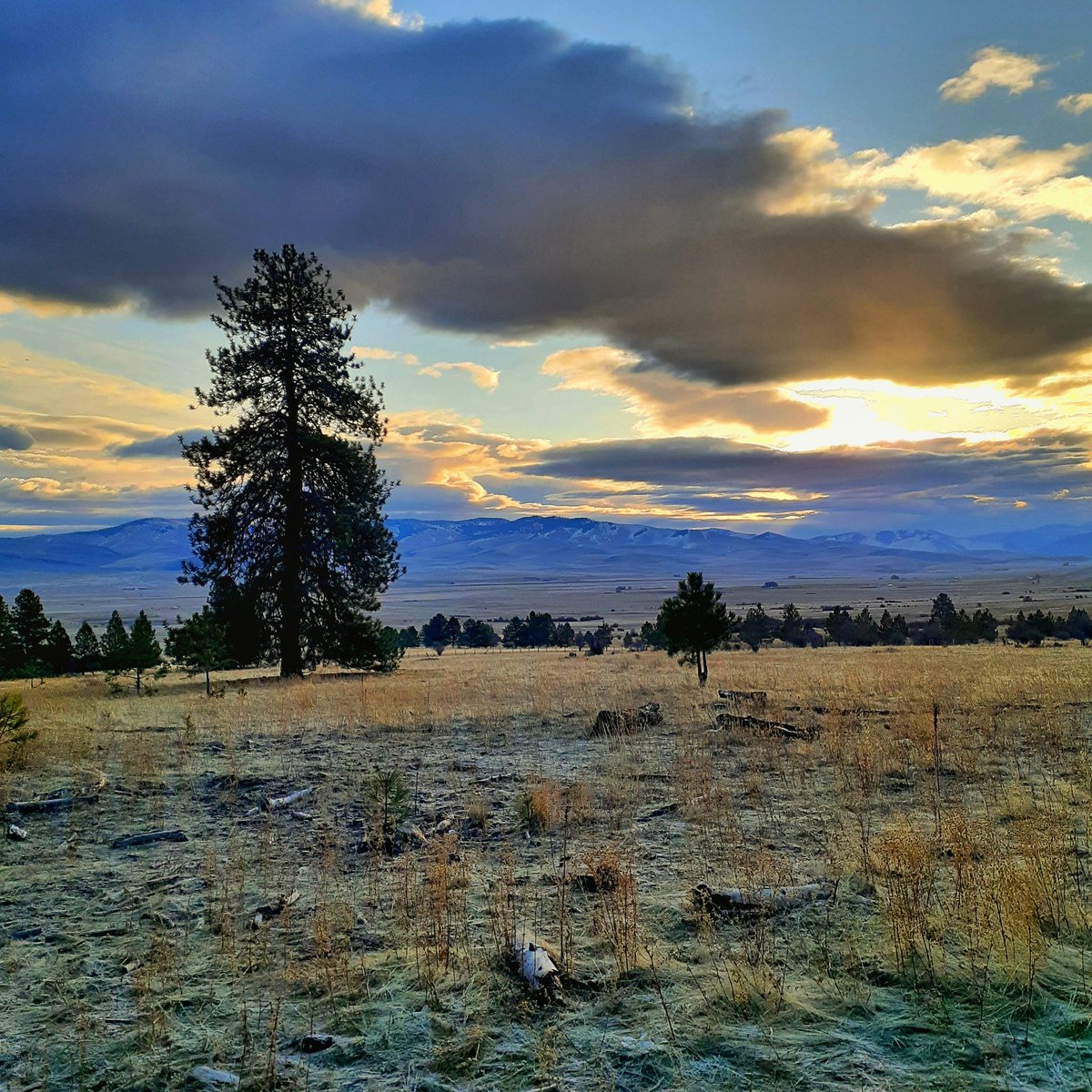 4kn0thead6's tweet photo. #montana #montanans #Montanalife #montanasky #montanaliving #bigskycountry #flatheadrez #cskt https://t.co/Ub0q1IZUTK