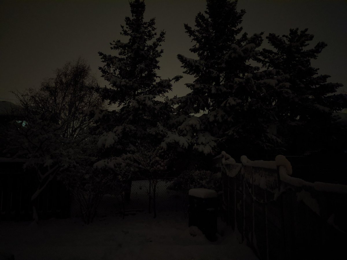 WasAarnArmstrng's tweet photo. Google Pixel 5 night sight is actually quite mental😂

It looks like the middle of the day🌒

#Pixel5 https://t.co/kRpRa3vI9G