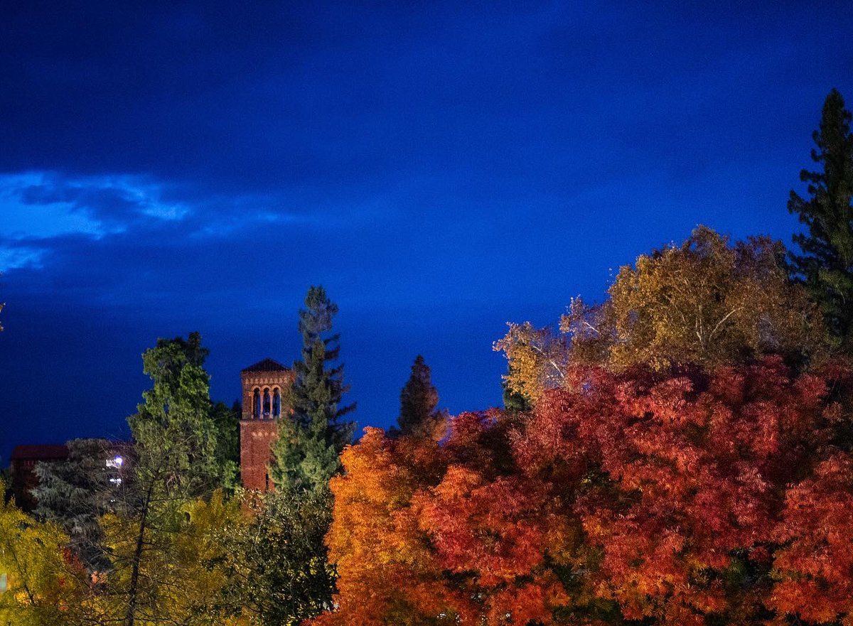 JasonHalley_CSU's tweet photo. The colors at twilight were a bit surreal. @chicostate https://t.co/r6RVnrdMh0