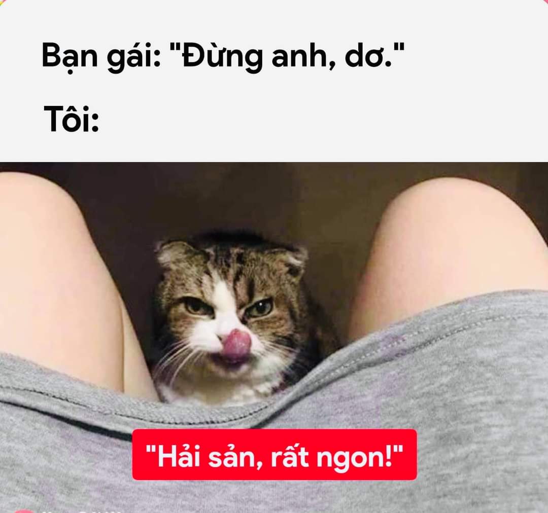cunn2000's tweet photo. Ai cho em ăn hải sản điiii🤤 https://t.co/jr5ZA08csu