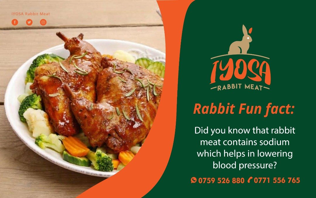 Rabbit MEAT tweet media