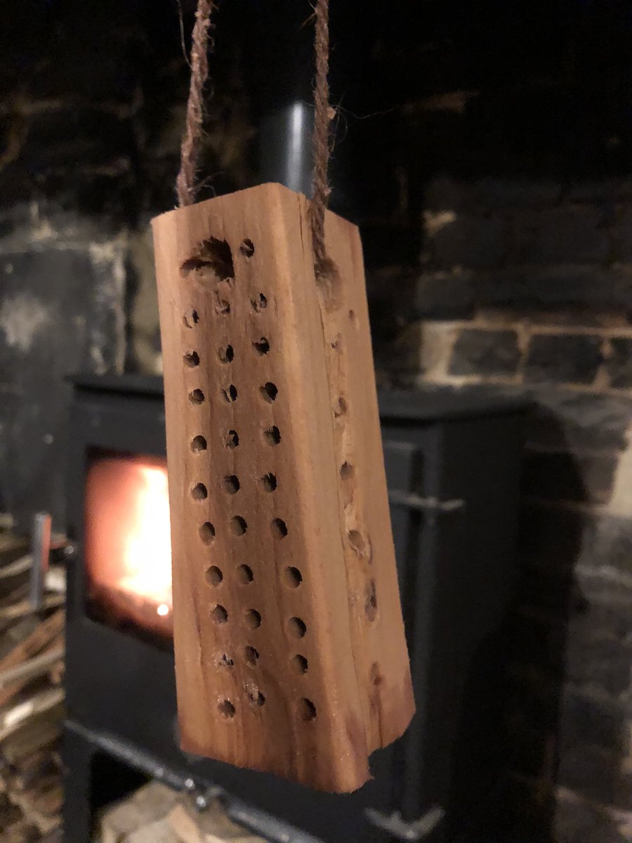Growingbeer's tweet photo. A little bit of an experiment in yeast and self-sufficiency - making a yeast stick to try and reuse those critical little critters from one brew to the next #growingbeer #findingbeer #beer #ale #yeast #brew #podcast https://t.co/6dZqxtluf6