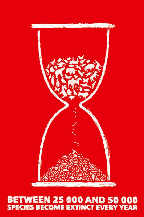 ecoturra's tweet photo. "Entre 25.000 y 50.000 especies animales se extinguen cada año" (✏️by Karlis Dovnorovics) https://t.co/LPxhTPzGnj