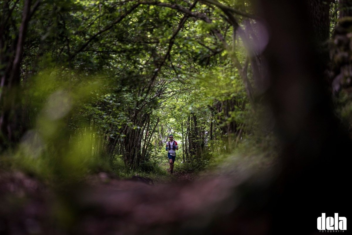 La Picón Castro tweet media