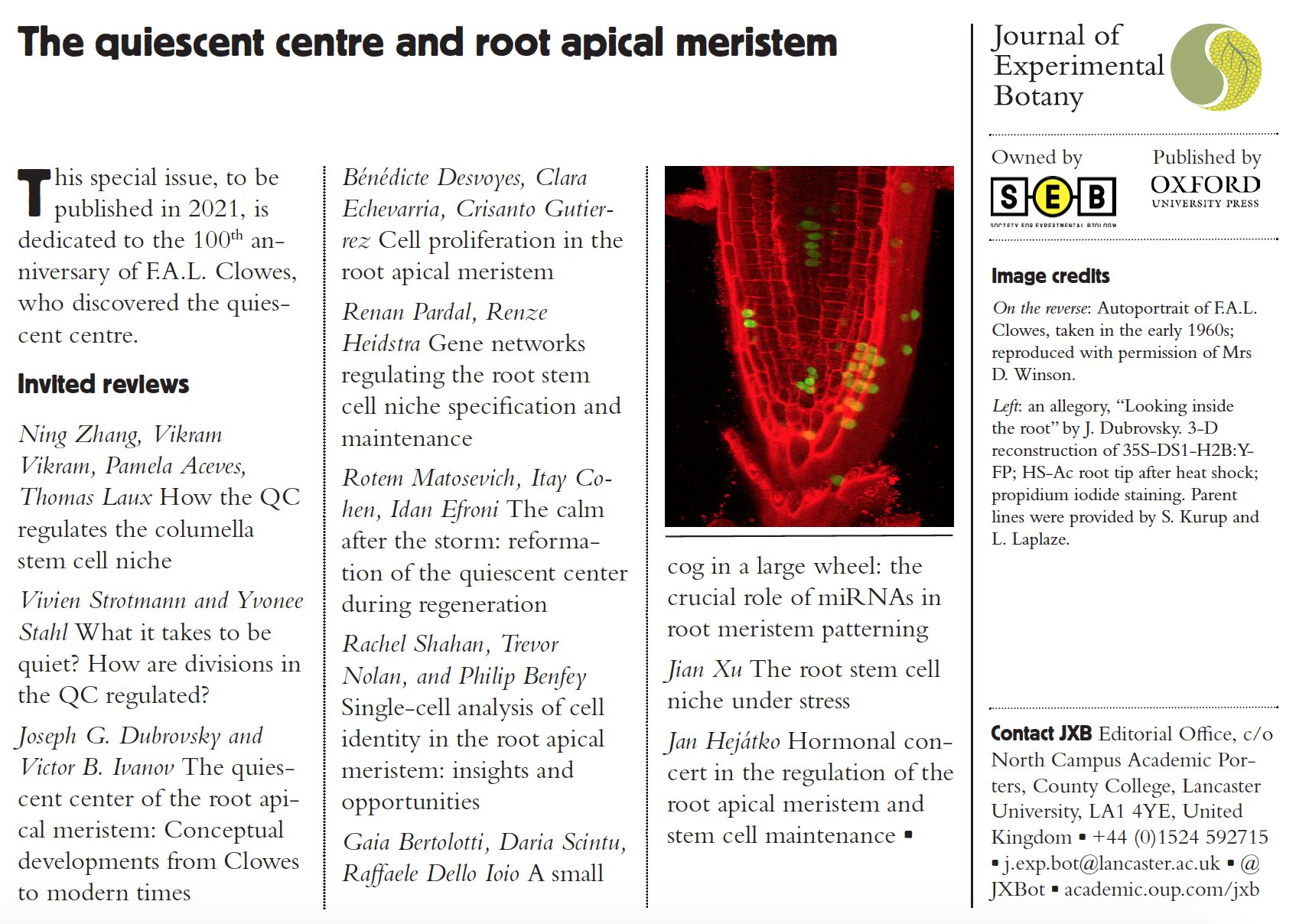 Jxb Upcoming Special Issue Announcement The Quiescent Centre And Root Apical Meristem A Special Issue To Celebrate Lionel Clowes 100th Anniversary To Be Published In 21 T Co Dzkcy08hiv
