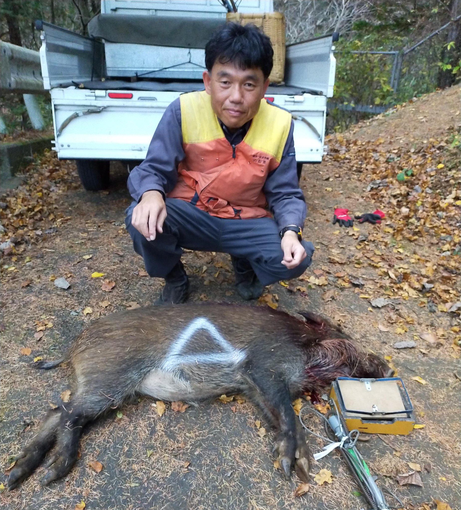 銃猟 Twitter Search Twitter