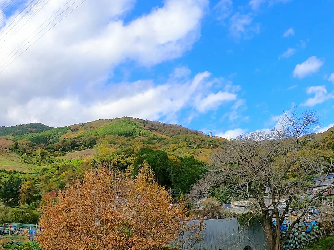 ebisen_ebi's tweet photo. Yesterday, the annual "Orange picking🍊" was a lot of fun for both children and adults!
#hashhouseharriers  #running #hhh #kanagawa #tokyo #japan #サムライ　#samurai #gopro #gopro6 #Onon #ontrail #hashtrail #hashing #hash #hhh #h3 #onout #ランニング
https://t.co/cFdQNoBYzj https://t.co/2uLTggFPOb