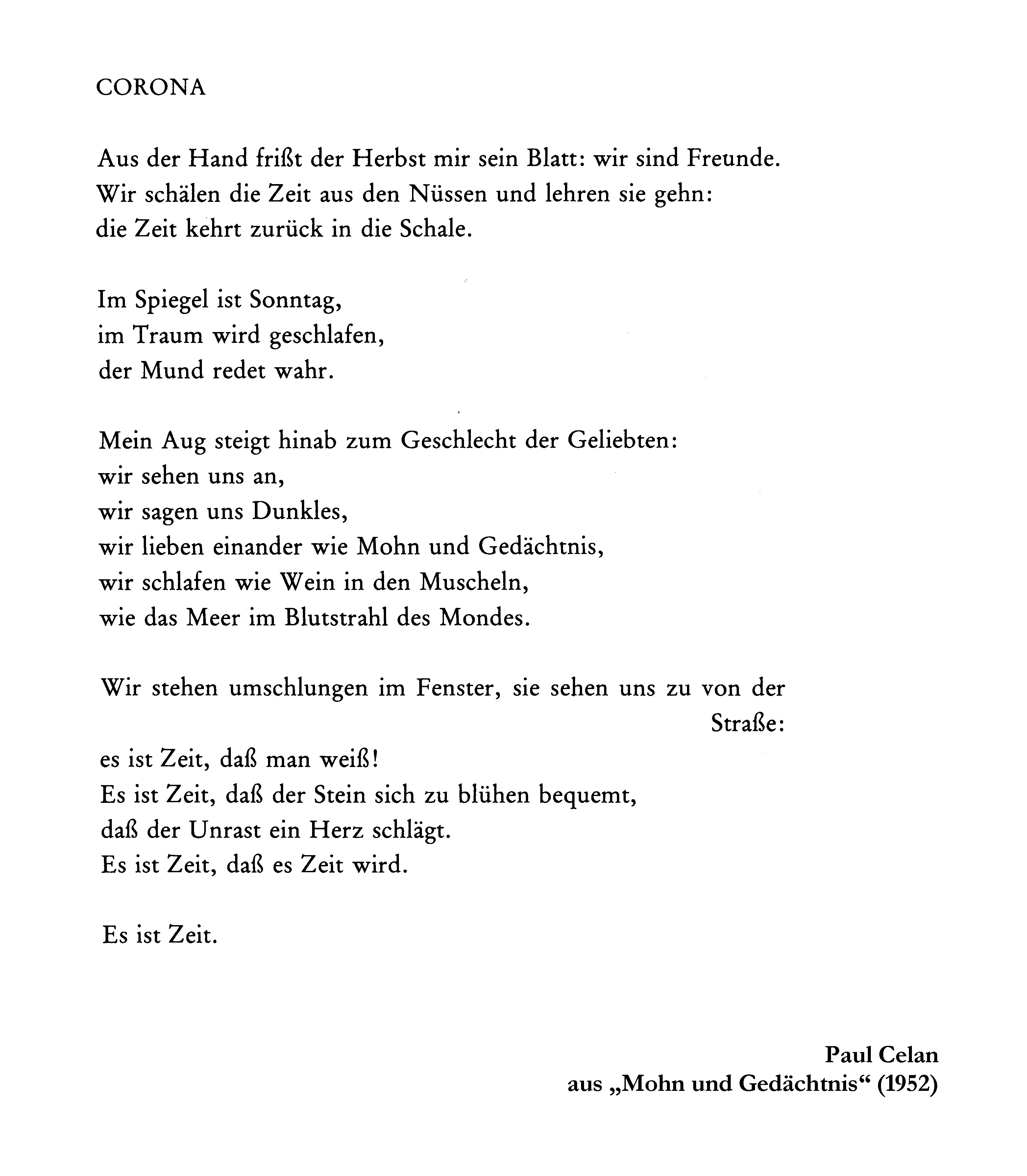 Mohn gedicht