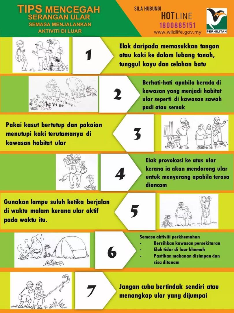 PERHILITAN's tweet photo. [TIPS MENCEGAH SERANGAN ULAR SEMASA MENJALANKAN AKTIVITI LUAR]

Serangan ular boleh berlaku bila-bila masa tanpa mengira tempat terutama kawasan sawah padi dan semak samun yang merupakan habitat asal bagi ular. https://t.co/t206Jg0LBx