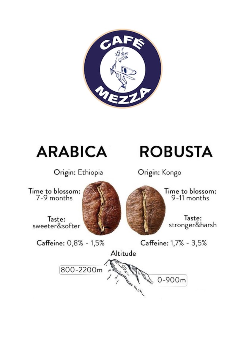 cafe_mezza's tweet photo. Do you know your coffee? There are 2 main coffee species in the world, the Arabica and the Robusta. 

Arabica beans are usually sweeter, with a softer taste. Robusta has a stronger taste &amp; contains twice as much caffeine.

#CaféMezza #CaféMezzaShop #Lavazza #Arabica #Robusta https://t.co/9HRPxpgxEq