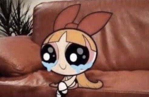 Milo is seeing bangtan!! tweet media