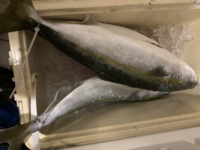 サワラのtwitterイラスト検索結果 古い順 サワラのtwitterイラスト検索結果 古い順