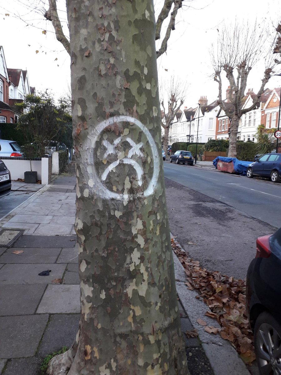 CaitlinDavies2's tweet photo. is this tree marked for destruction, or is it sad? (or is it sad because it's marked for destruction) #sadtree https://t.co/L8fclJARf2