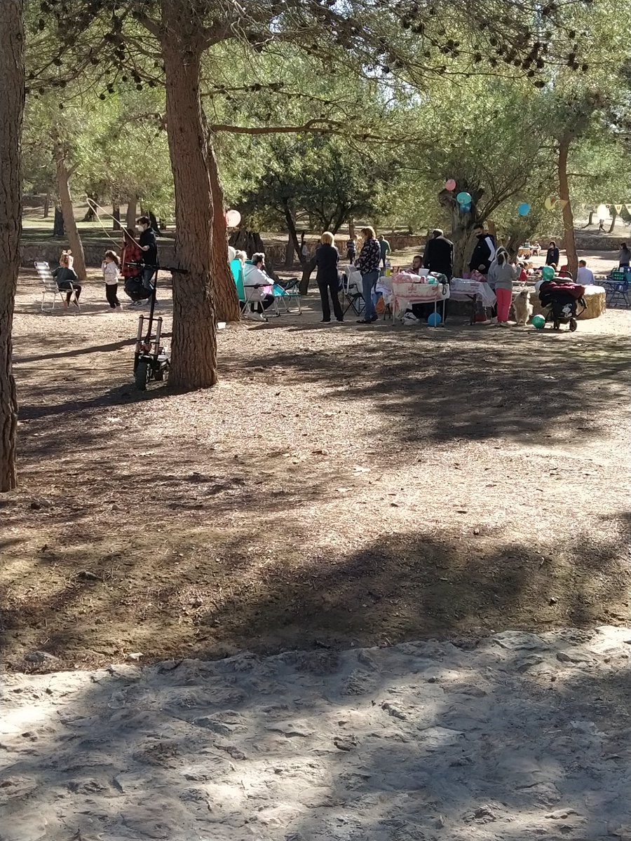 lauplain's tweet photo. Cuando te informan en el @aytolliria que solo está permitido el paseo por el Parque de San Vicente de Llíria, que nada de comer... 🧐¿Qué hacemos? https://t.co/NRjslVqXje
