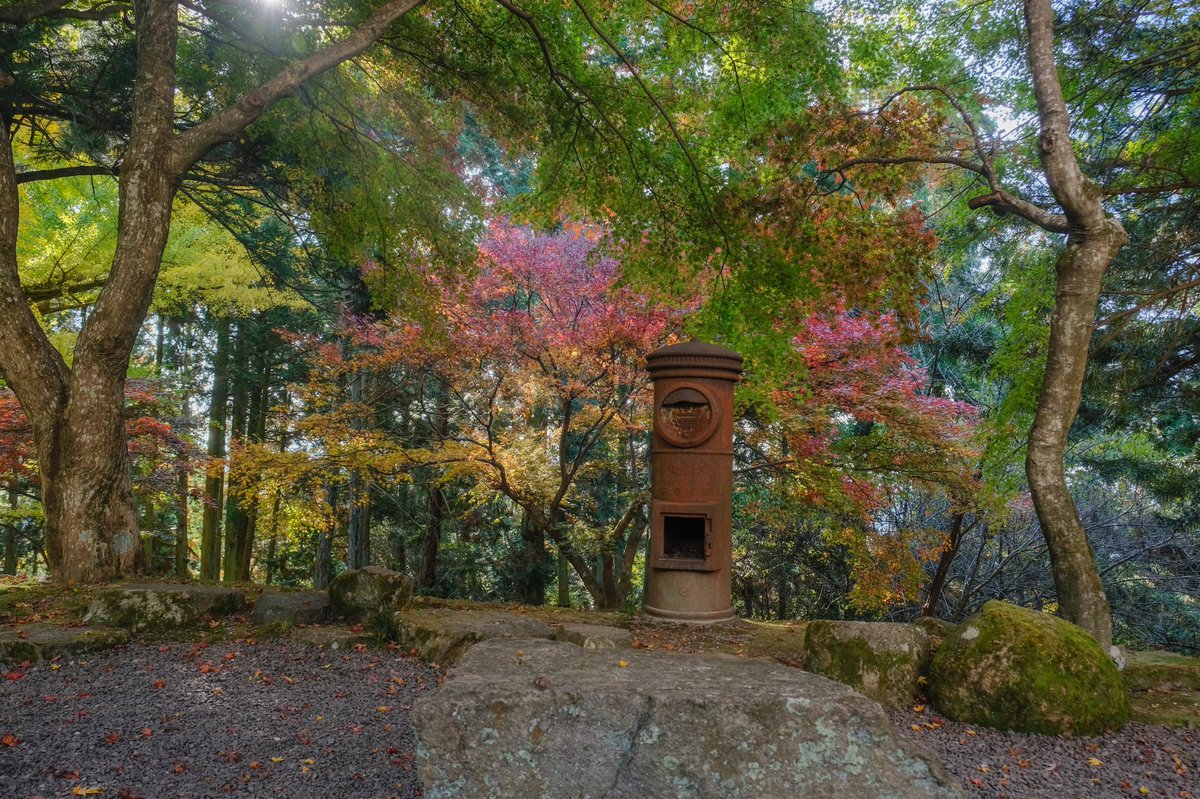 播州清水寺 Twitter Search