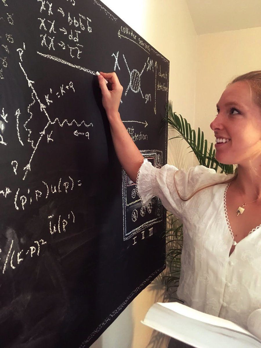 Our Member of the Month is Anne-Katherine Burns (she/her/hers)! Her research is applying machine learning to cosmology problems and beyond the Standard Model of particle theory. She loves going outside, and like a true Californian, picked up surfing this past summer!