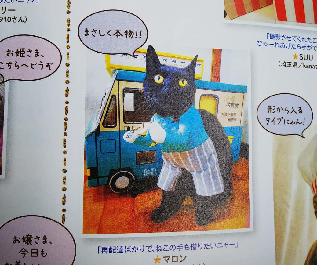 勤労感謝の日🎌 ヤマト運輸さん、いつもありがとうございます🙇 ちゅー