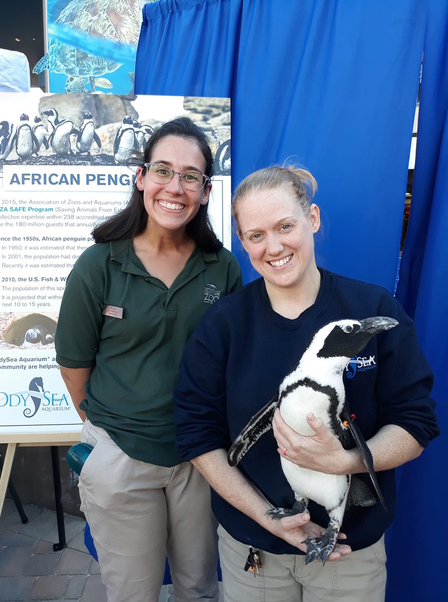 EducatorsIz's tweet photo. Faces of IZE: Stories of zoo &amp; aquarium educators from around the world. 
Name:  Molly Koleczek
Institution: Reid Park Zoo
Years as educator: 4
Favourite animal: Sea turtle 
#ize #zooaquariumeducators #izeducators #izeday2020 #izeday https://t.co/6eNYM6iGn0