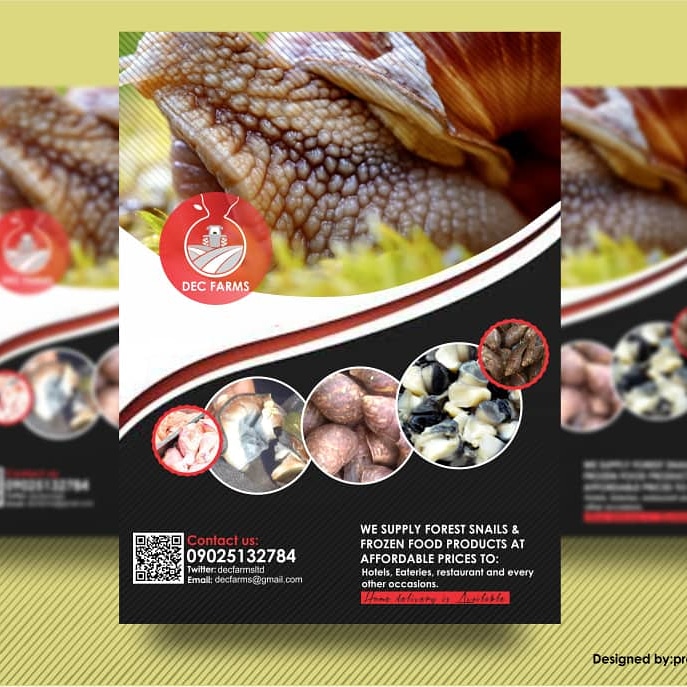 decfarms's tweet photo. Good Morning! Great week ahead. #MondayMotivation #mondaythoughts i am your plug for fresh snails of various sizes at affordable prices as low as 300 naira. RT is ๐ as my client are on your TL. #TREM Zamfara #Recession2 Shola #LIVLEI #Zlatan maiduguri gbadamosi #BecauseOfTacha https://t.co/oOnq54XTHs
