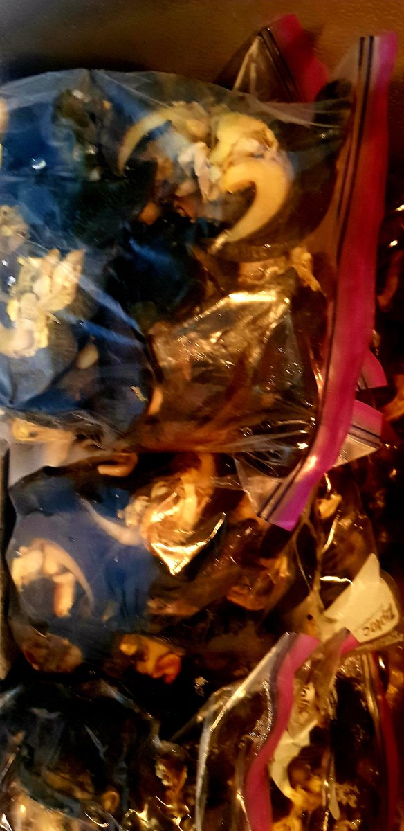 decfarms's tweet photo. Good Morning! Great week ahead. #MondayMotivation #mondaythoughts i am your plug for fresh snails of various sizes at affordable prices as low as 300 naira. RT is ๐ as my client are on your TL. #TREM Zamfara #Recession2 Shola #LIVLEI #Zlatan maiduguri gbadamosi #BecauseOfTacha https://t.co/oOnq54XTHs