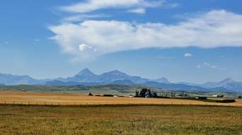 Teechihuri's tweet photo. Today Govt starts the exercise of repossessing land from multiple farm owners,those who have abandoned the land&amp;underutilized the land.The repossessed land will be allocated to the landless as we push to achieve the agricultural revolution aimed at making the country food secure. https://t.co/V4KQyghdf1