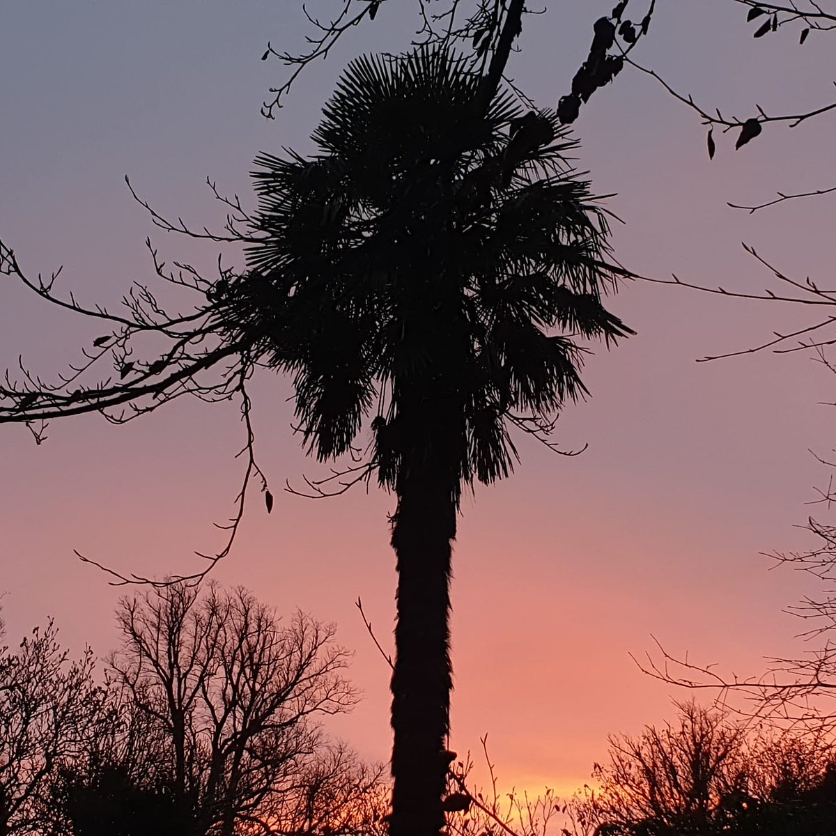 Wonderful mornings. Full of anything you want them to be <a href="/Minterne_Garden/">Minterne Gardens</a> #MondayMotivation #MondayMorning #MondayVibes #mondaythoughts