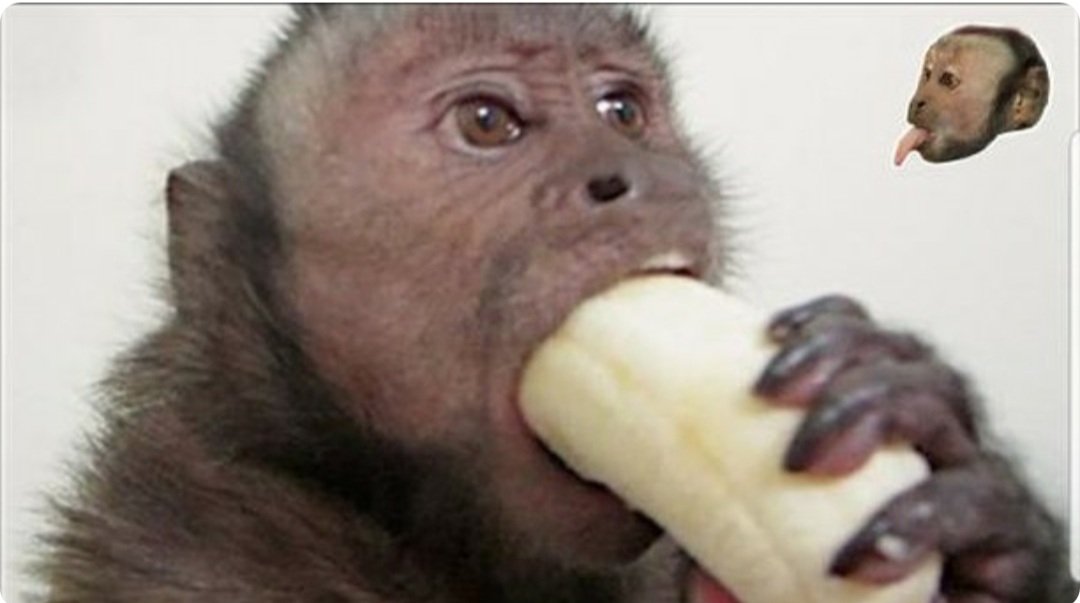 JJizzmenez's tweet photo. Mm banana https://t.co/5GR2KIyJtf