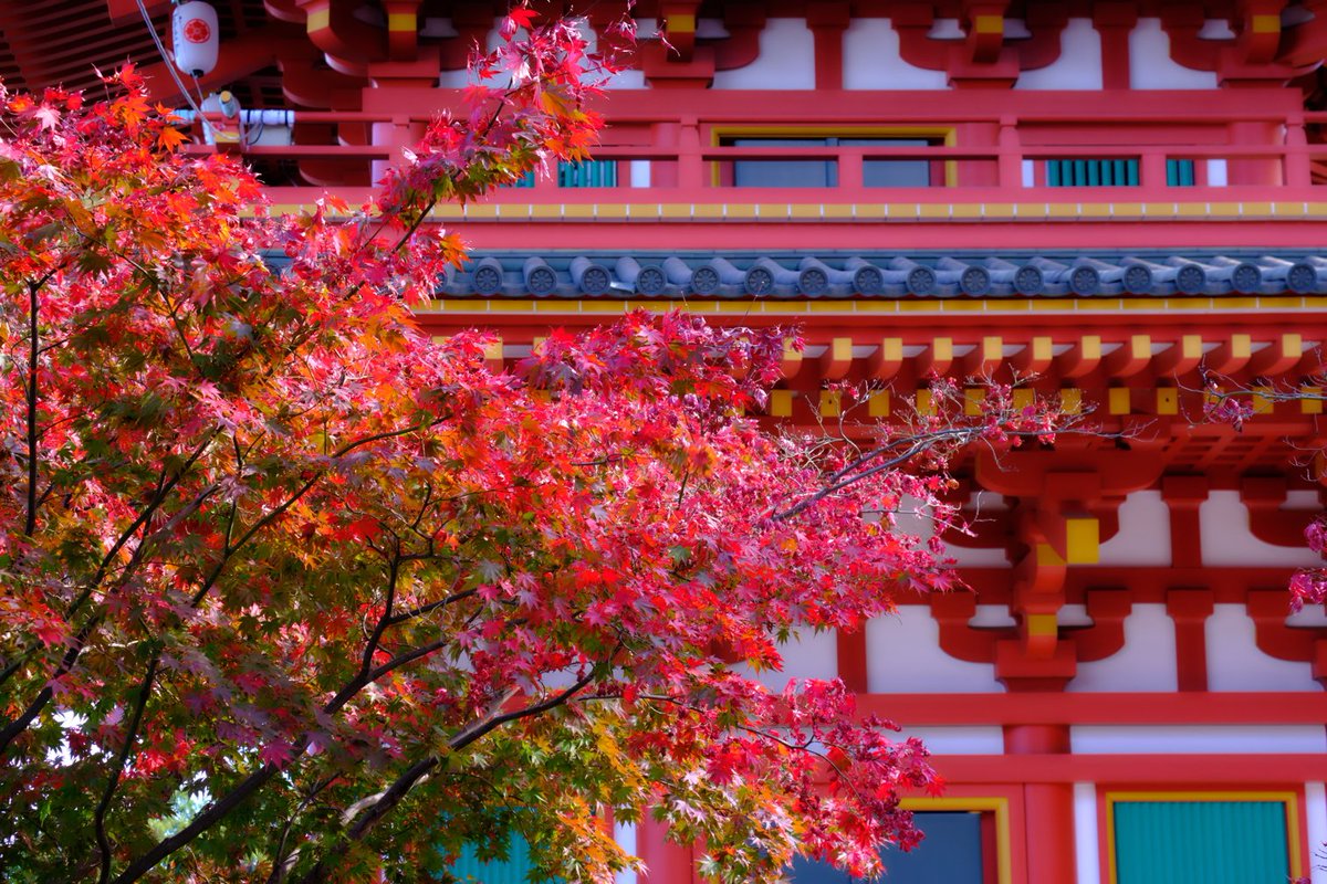雷神dx 高幡不動尊 紅葉も見頃 高幡不動 紅葉 Xpro2 Xf550
