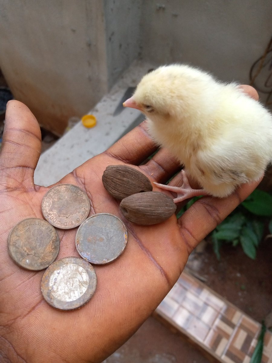 This week is about securing that win..

Go grab it...

<a href="/Kene_Nnewi/">Onwa_Nnewi</a>