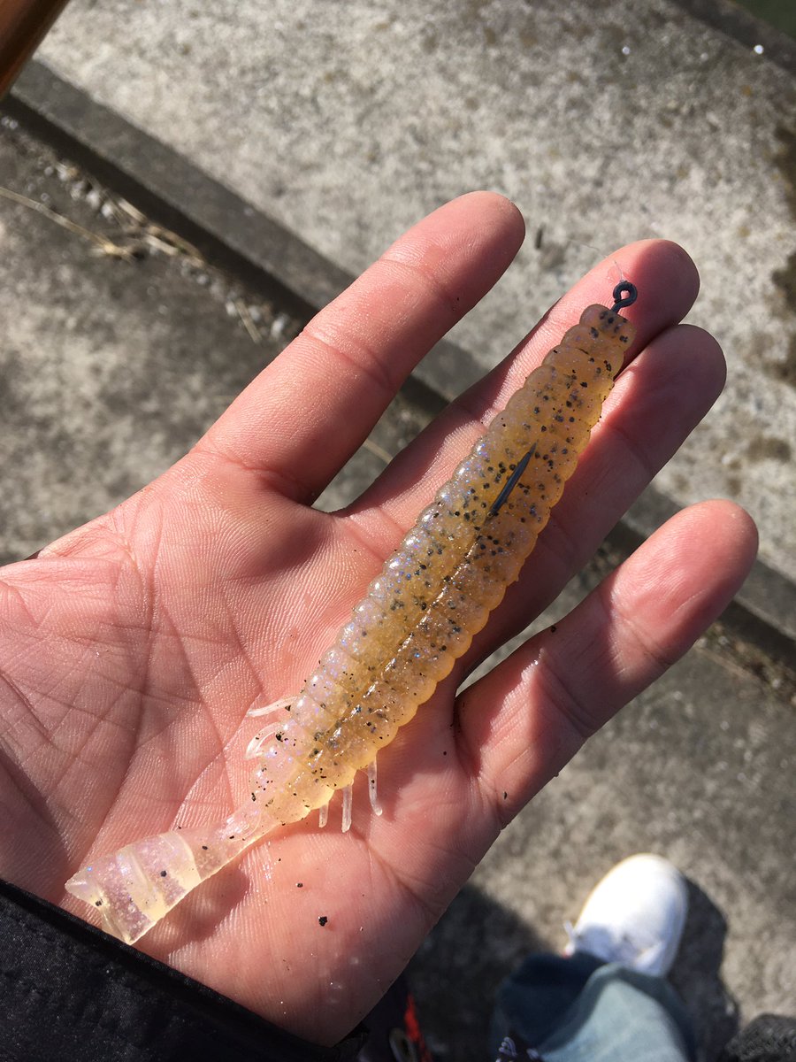 2001Junya's tweet photo. 今日は 久しぶりに霞ケ浦へ行って来ました
風も強く 極めてタフでしたが
最後になんとか 釣れました🤗
#バス釣り #bassmania
#deps #ABUambassador
#SUPERIORHook https://t.co/C2UpW9ObYm