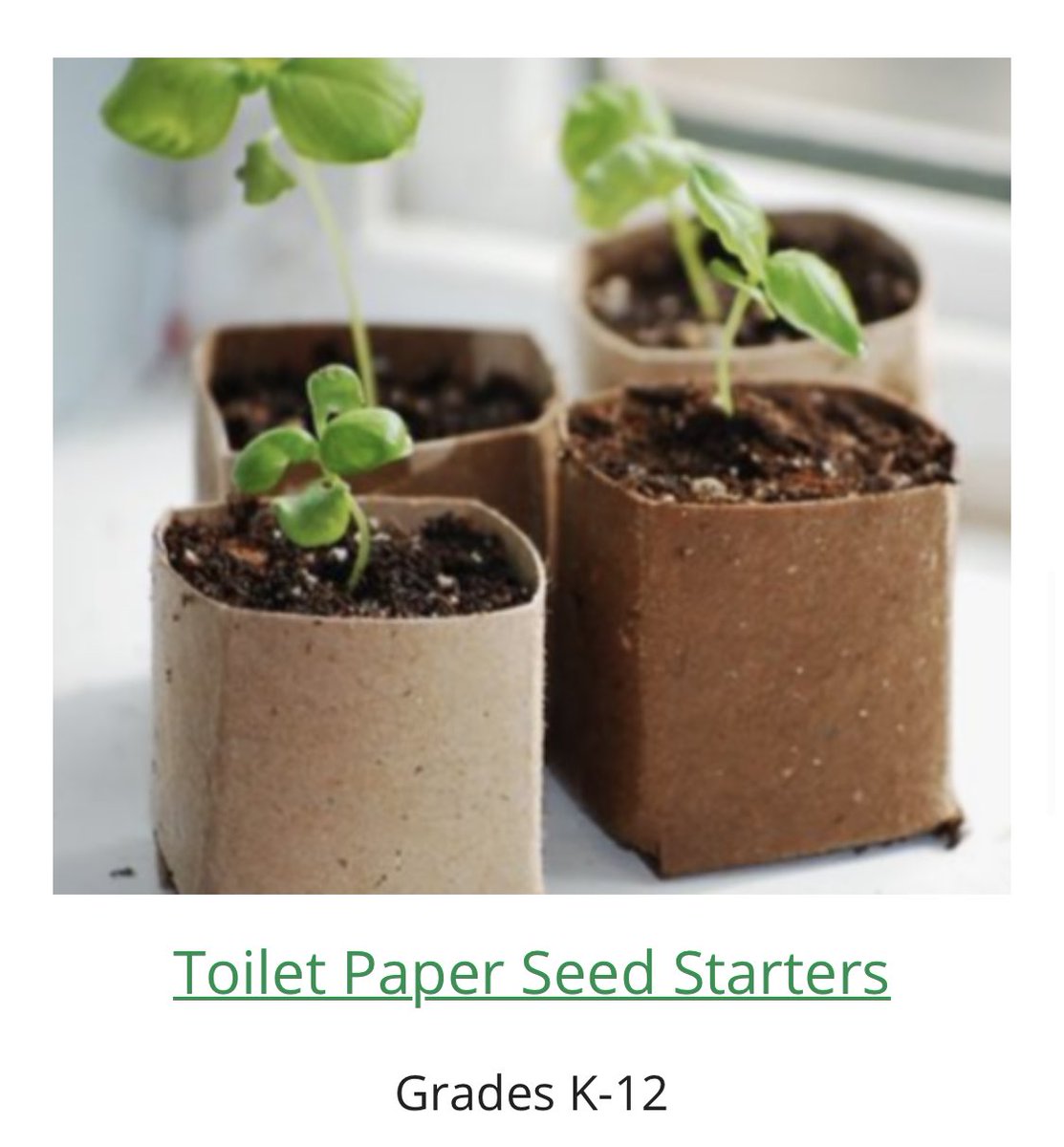 Windward CTE tweet media