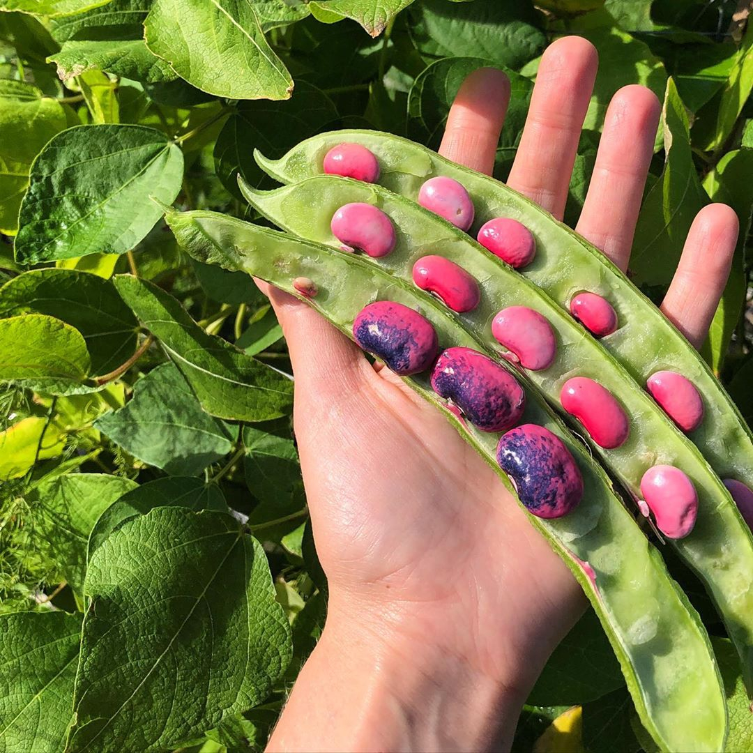 sowvital (@sowvital) on Twitter photo 