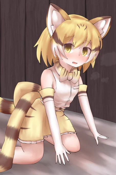すなぬこ 