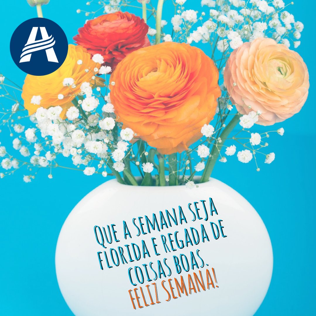 cavg_apv's tweet photo. Feliz Semana!😁

#felizsemana https://t.co/eM9bcjrg84
