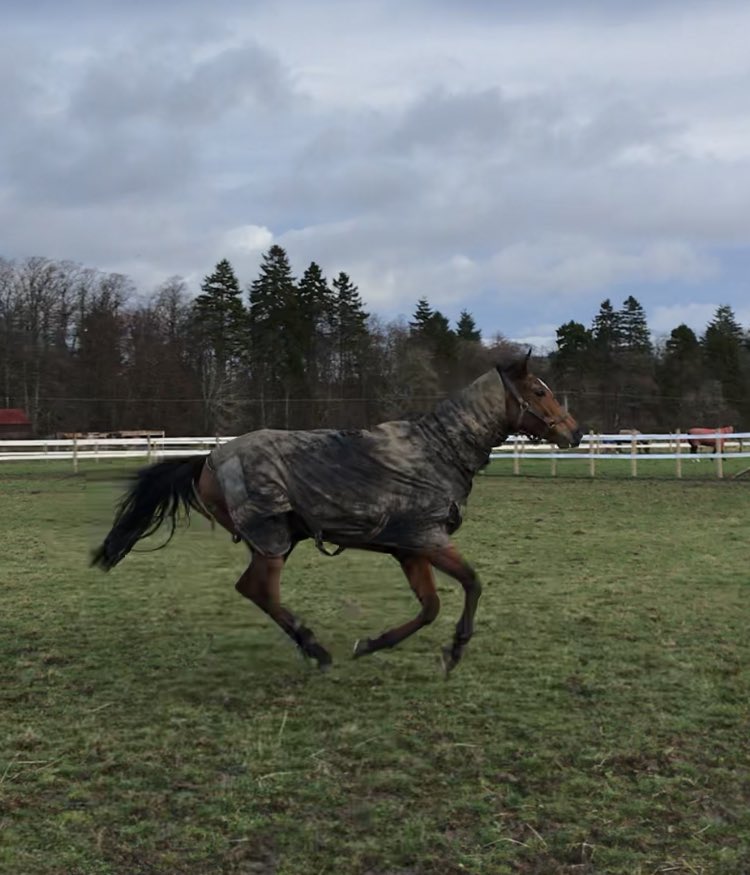 K_scottracing's tweet photo. Happy boy having a week off #rockleypoint https://t.co/oOAuTuGE5m