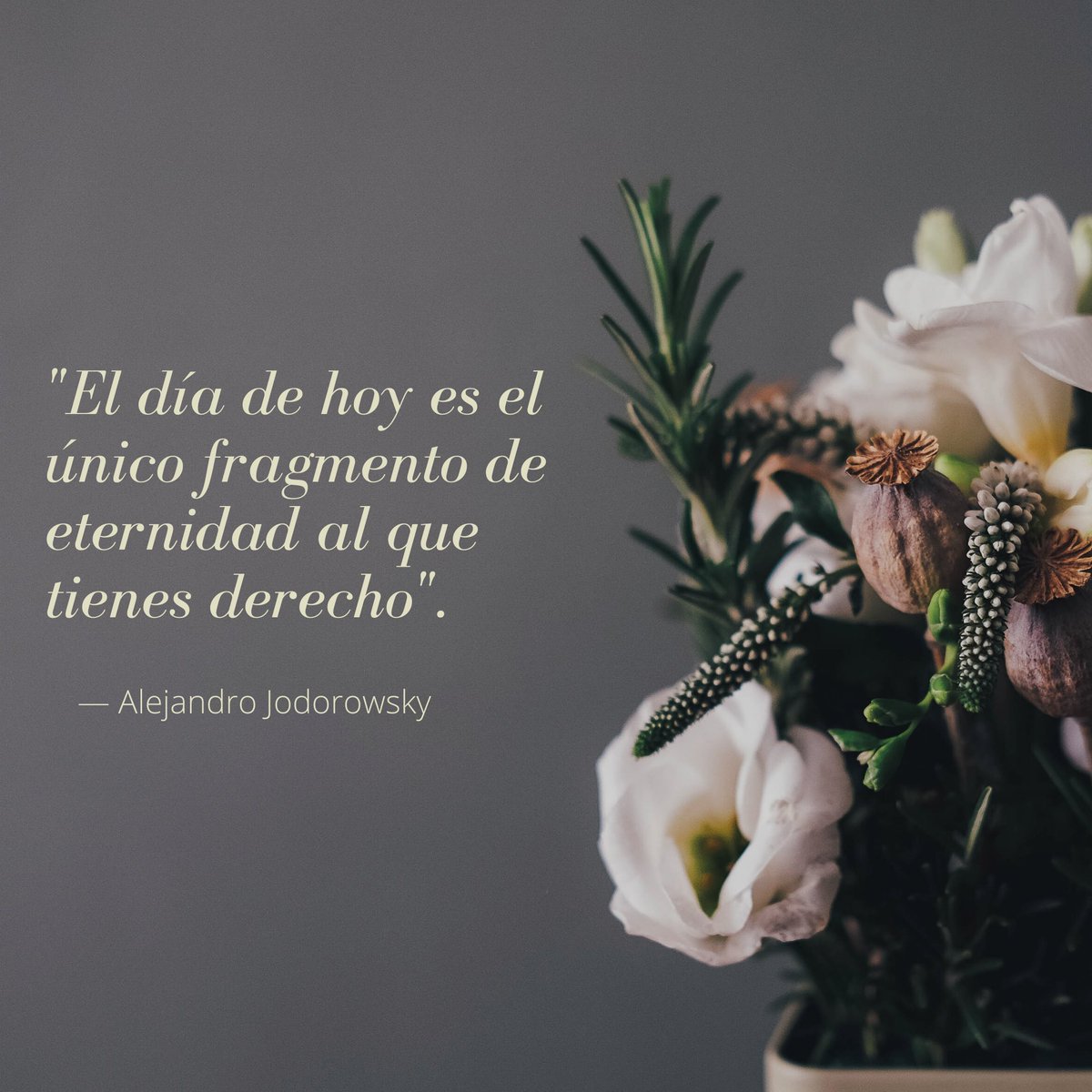 EnriqeFrias's tweet photo. El día de hoy.  
@alejodorowsky https://t.co/lax7vpwGV3