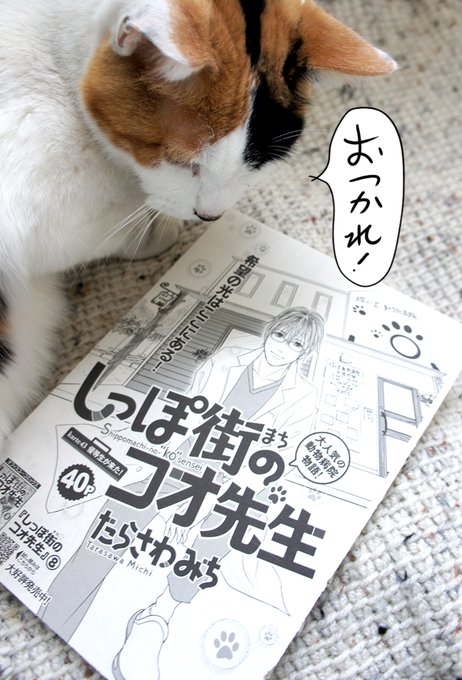 たらさわみち M Tarasawa さんのマンガ一覧 ツイコミ 仮 たらさわみち M Tarasawa さんのマンガ一覧 ツイコミ 仮