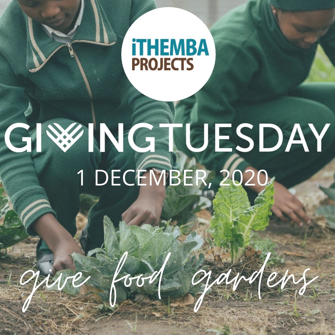 iThembaProjects's tweet photo. Give food gardens this #givingtuesday and be a part of ending stunting, providing food security, and boosting immune systems! https://t.co/NC2nRBSk0C https://t.co/wg3L6tVezJ